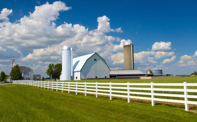 Pasture Clearing