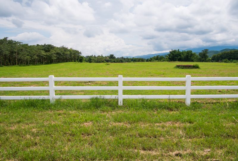 Pasture Clearing