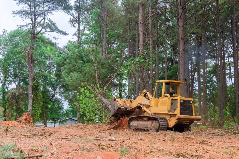 Lake Lot Clearing in Gwinnett County, GA