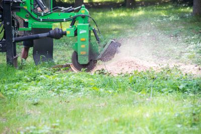 Stump Grinding and Root Removal