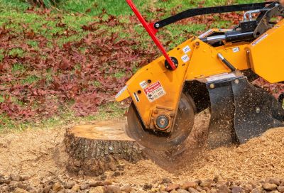 Stump Removal Machinery