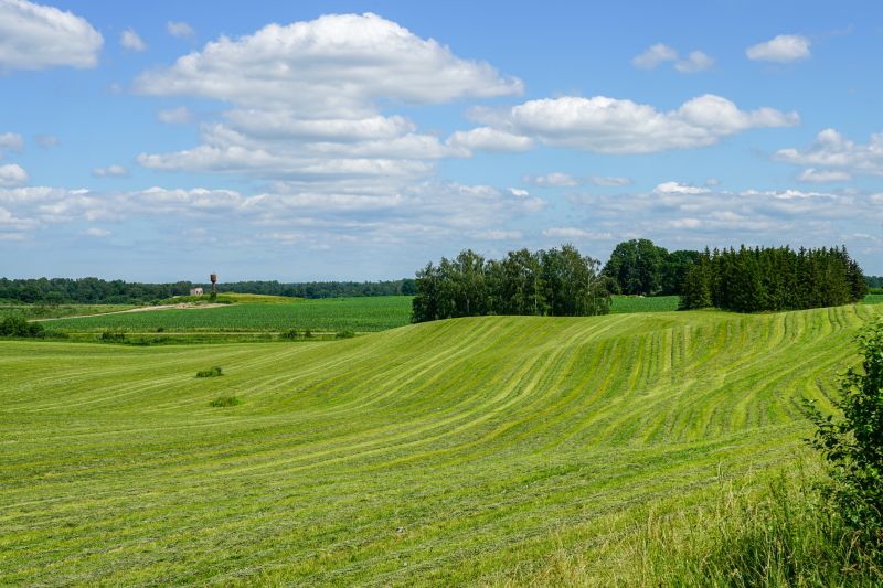 Environmental Land Management Firms