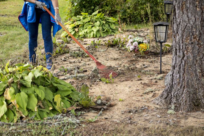 Local Handyman Services