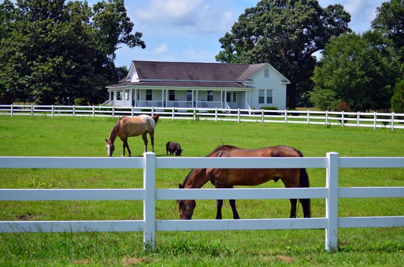 Pasture Clearing