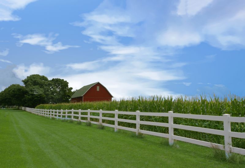 Increase Your Pasture Clearing Business with an AI Driven, Targeted Website