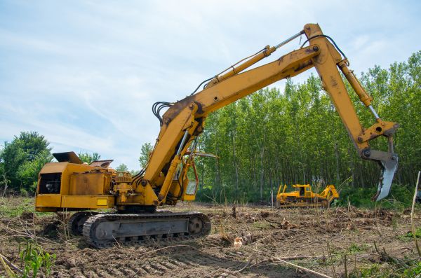 Farm Clearing