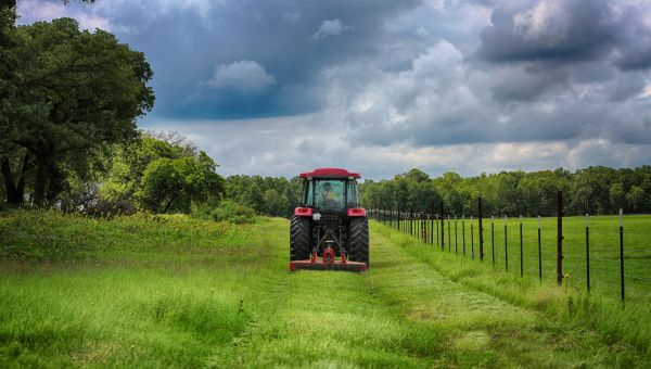 Horse Pasture Mowing