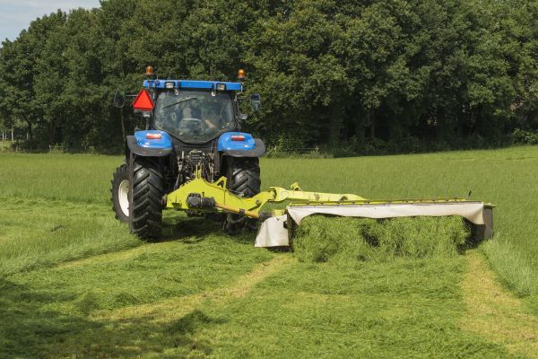 Field Bush Hogging